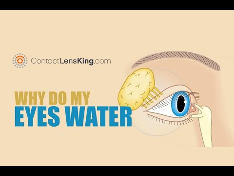 Wideo: Dlaczego Moje Oczy łzawią Na Mrozie?