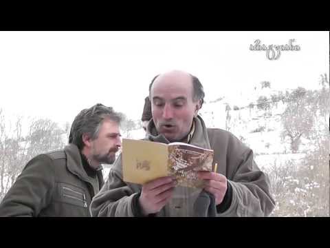 რუზველტ მარცვალაშვილი - მიხა ხელაშვილს