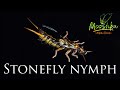 Stonefly nymph / Нимфа веснянки