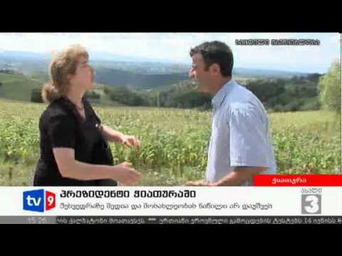 ახალი 3 | პრეზიდენტი ჭიათურაში | 23.08.12