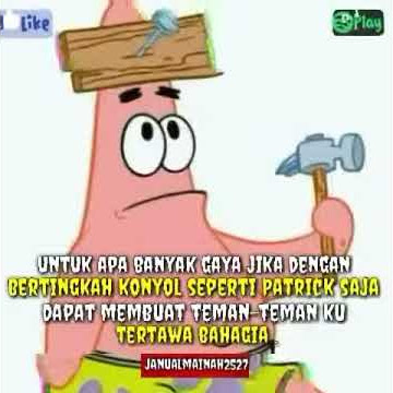 Story' petrik