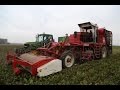 Classic Harvesters | Part 4 | Riecam RBM 230 | Sugar Beet | Agrifoto.nl