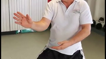 Yang Family Tai Chi Role Back (Lu) with Lao Shi Damon Bramich