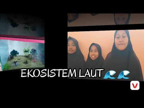 ekosistem-laut🌊🌊