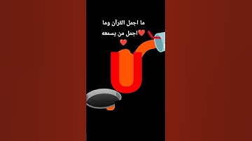 #فارس_عباد #قرآن #سورة_الإسراء #قران_كريم #اكسبلور