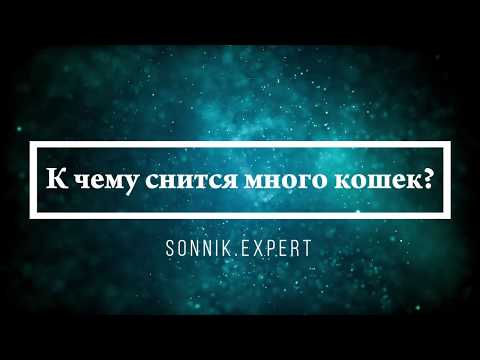 К чему снится много кошек - Онлайн Сонник Эксперт