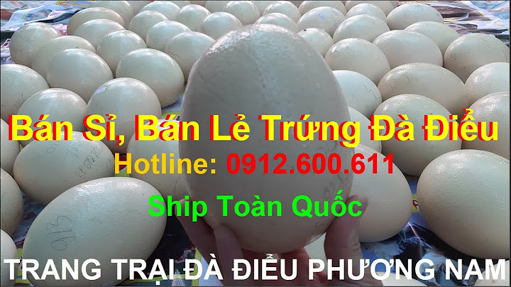 1 trứng đà điểu bằng bao nhiêu trứng gà năm 2024