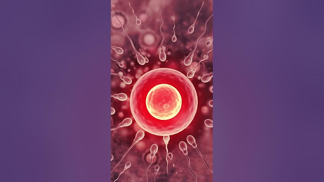 out Sperm cuming
