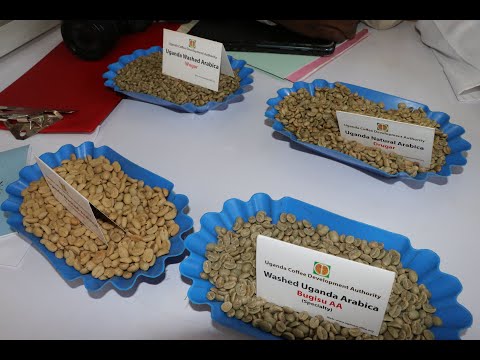 Understanding Domestic Coffee Consumption in Uganda EPRC 2022