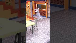 Renata Volta Para A Casa Bom Dia, A Surucucu Voltou Bbb 25 Tv Globo