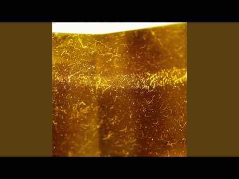 Exposing The Darkest Kids Film Ever Made