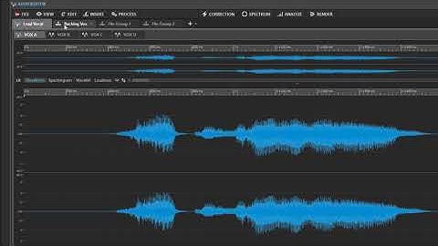 WAVELAB PRO 9.5 - Using File Groups