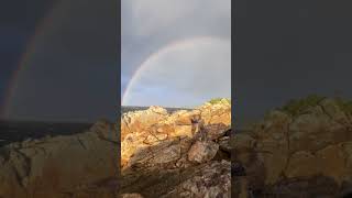 Download Lagu strike in the morning drizzle accompanied by a beautiful rainbow #mancing #fishing #fypシ゚viral MP3