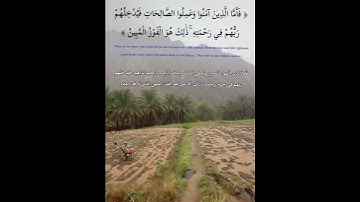 #سورة_الجاثية #سعد_الغامدي #قران_كريم #قرآن#قران