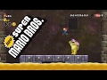 New Super Mario Bros Wii world 2 castle