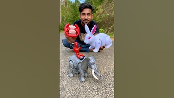 Remote wala duita Animal Toy Rabbit 🐇 & Elephant 🐘