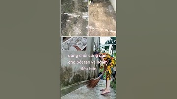 Bột tẩy rong rêu an toàn - hiệu quả - nhập khẩu 💯