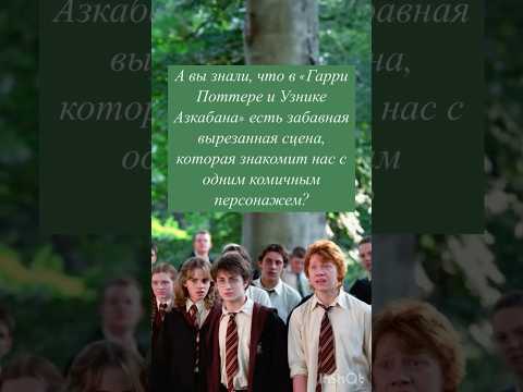 Удаленные сцены из фильма «Гарри Поттер» 🎞️