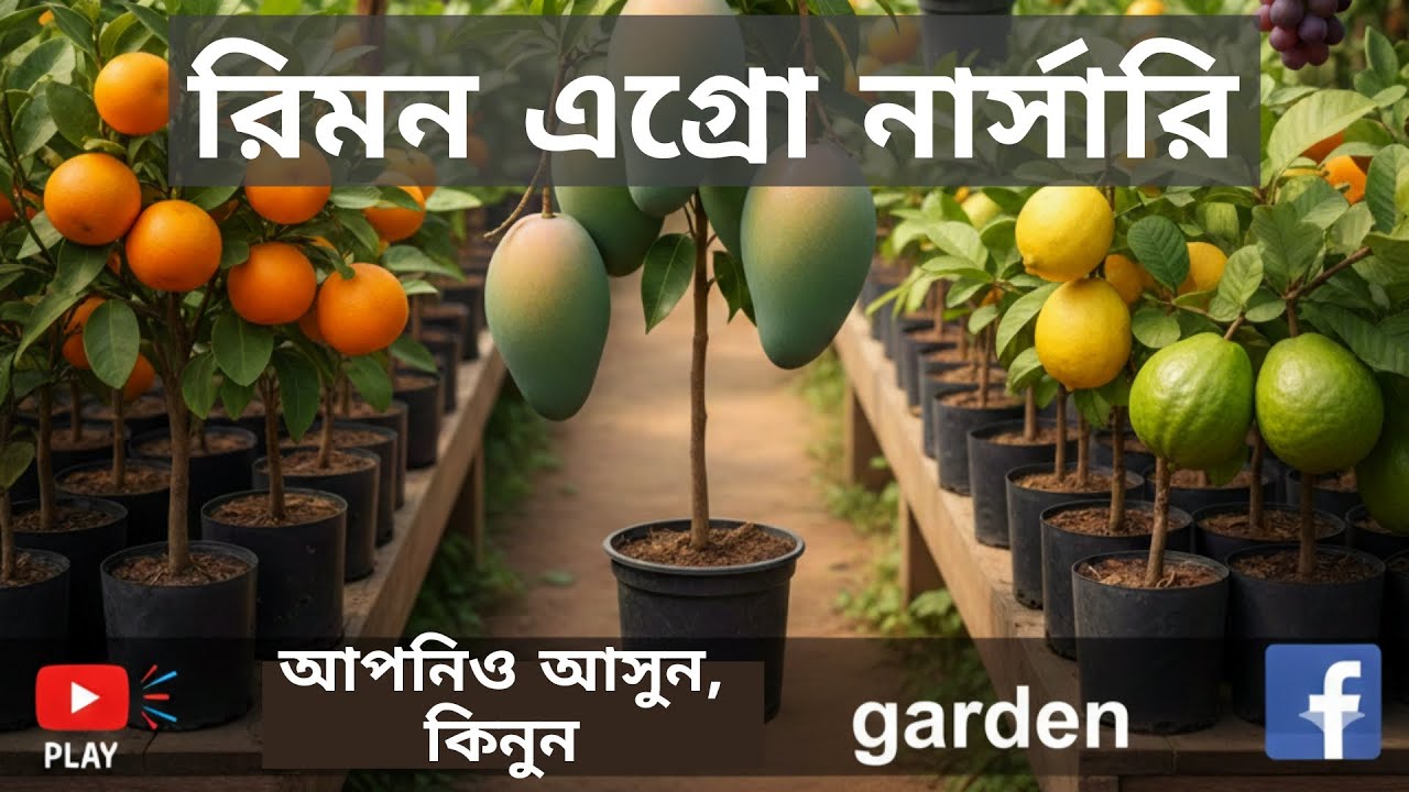 নার্সারি ভিজিট করে গাছ কিনলেন সন্তুষ্ট কাস্টমার। আপনিও আসুন। রিমন এগ্রো নার্সারি 