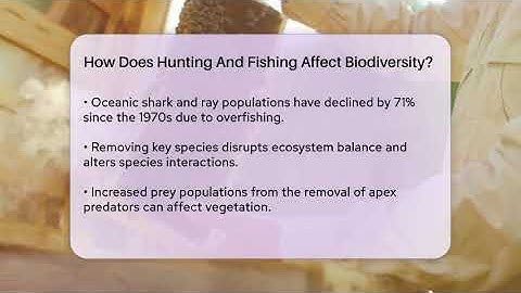 How Does Hunting And Fishing Affect Biodiversity? - Ecosystem Essentials