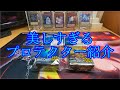 【遊戯王】プロテクター紹介