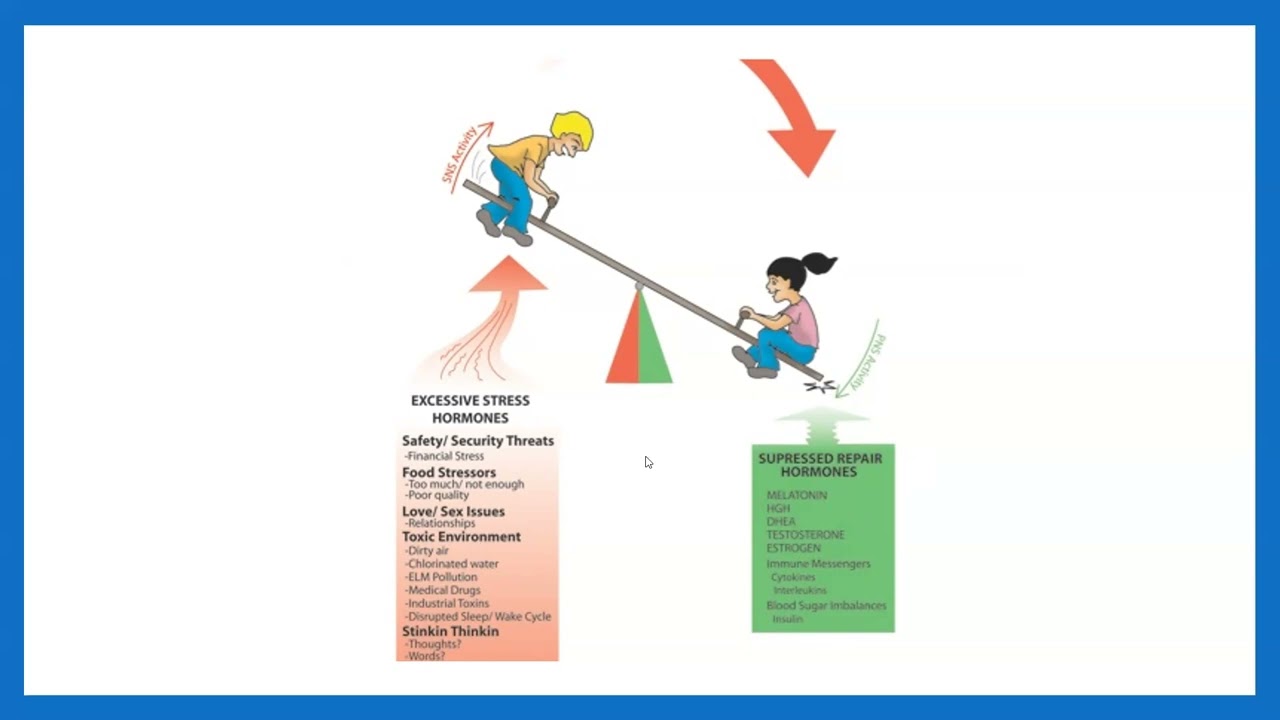 Tips to Creating Metabolic Harmony with Coach Debbie Potts