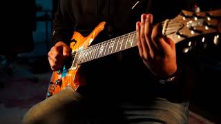 Vertex Steel String MkII Demo...Prs Super Eagle