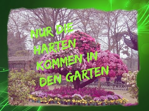 Nur Die Harten Kommen In Den Garten | Vlog 19