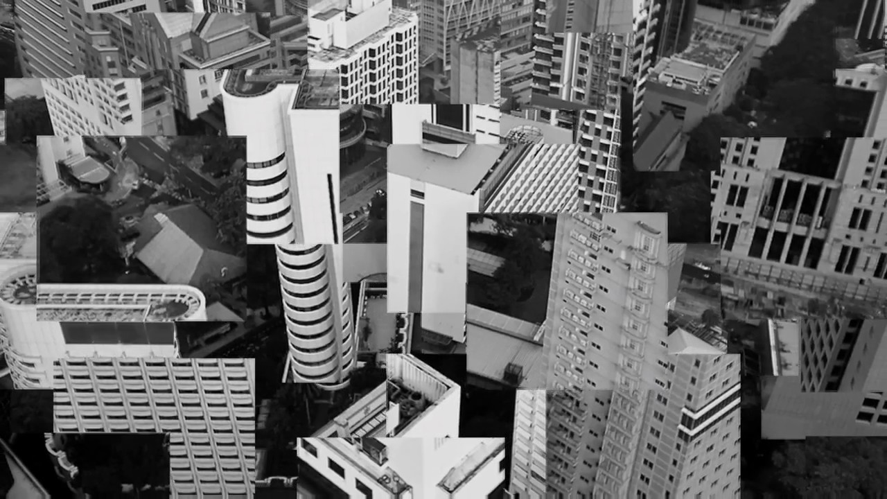 T H E   P A R T Y   A T T I T U D E