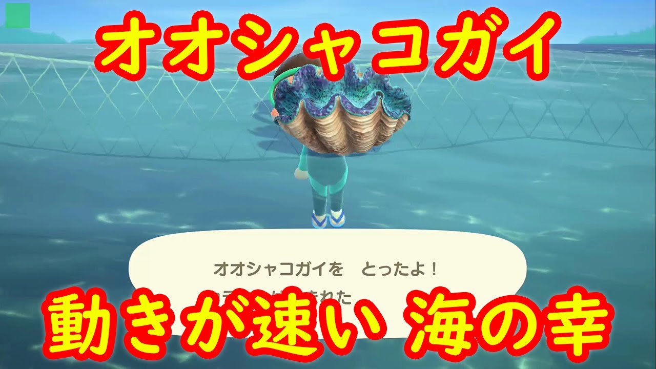 あつ 幸 海 森 の 【あつ森】動きが早い海の幸の捕まえ方と種類一覧