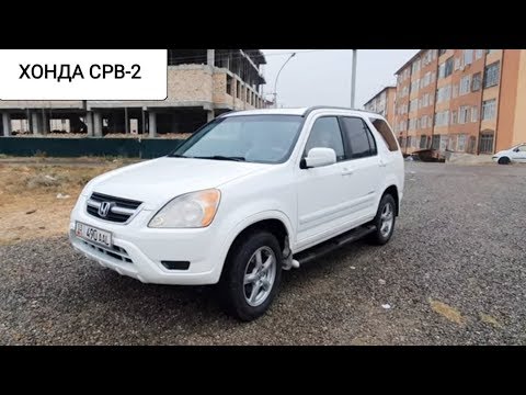 Video: 2002 -жылы чыккан Honda Accordдогу техникалык тейлөөнүн жарыгын кантип өчүрөсүз?