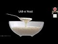 Sourdough Starter Science w/ Modernist Cuisine Head Chef Francisco Migoya, NCSU Fermentology Series