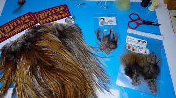 Coq De Leon Feathers