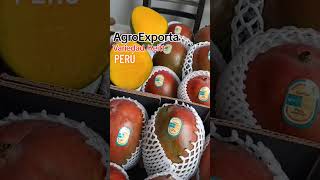 AgroExporta aEx | Mangos Keitt - Wilson Reyes