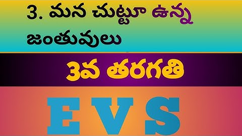 TET DSC | 3వ తరగతి 3వ పాఠం మన చుట్టూ ఉన్న జంతువులు | మన చుట్టూ ఉన్న జంతువులు 