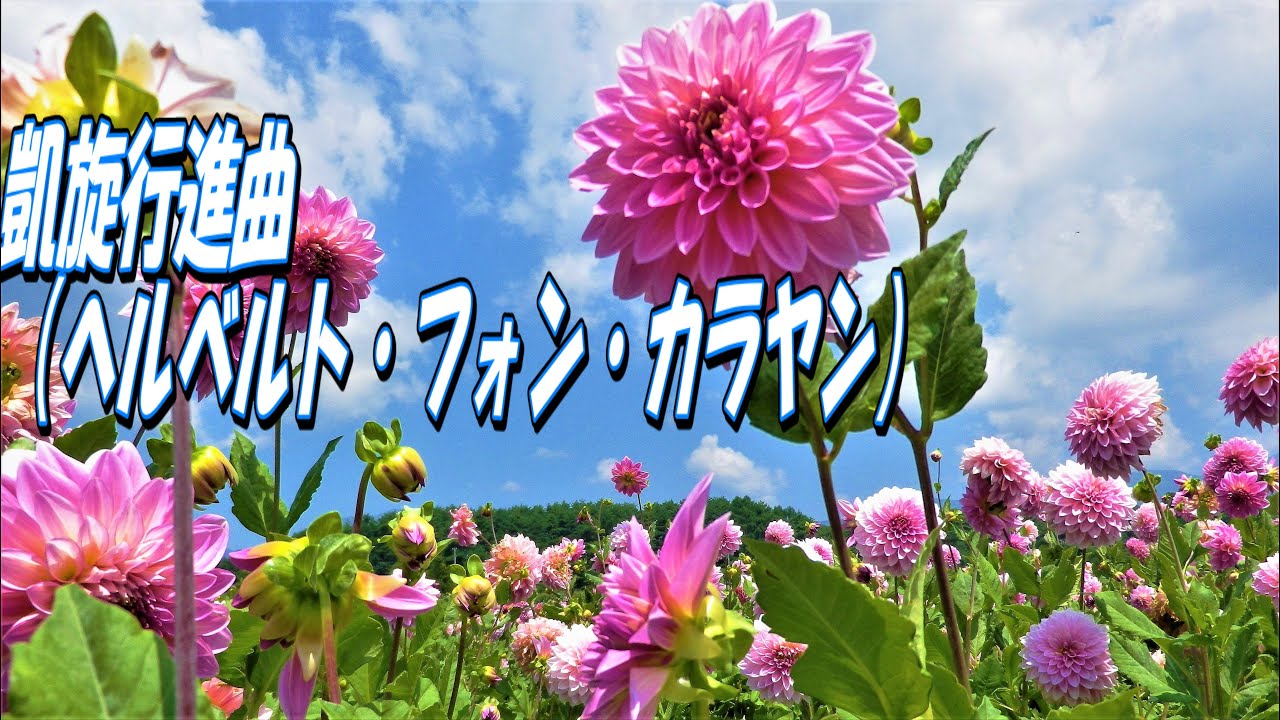 凱旋行進曲 ウイーン フィルハーモニー管弦楽団 ヘルベルト フォン カラヤン Youtube 凱旋行進曲 ウイーン フィルハーモニー管弦楽団 ヘルベルト フォン カラヤン Youtube