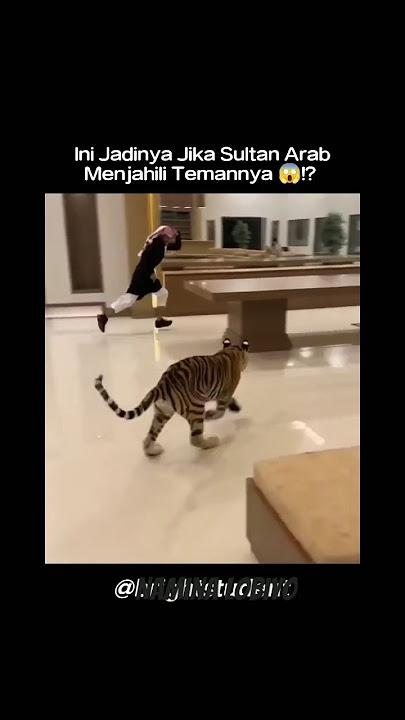 Meme lucu orang Arab di kejar harimau π
#meme #lucungakak #lucu