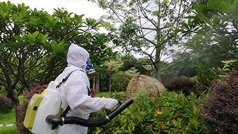 Longray 2023 Latest ULV Cold Fogger 606 Model With Charging Type Machine | Longray ULV Cold Fogger