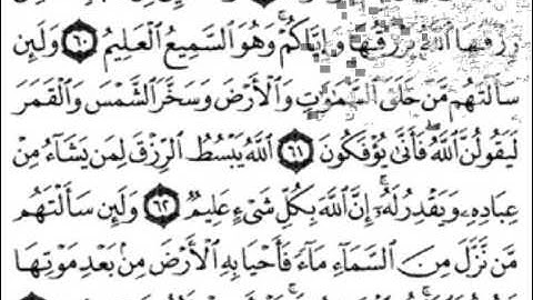 سورة العنكبوت [ من الآية 53 إلى 69 ] بصوت الشيخ فارس عباد