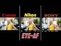 Nikon Z6/Z7 Eye AF is Out: Here’s How it Compares to Sony and Canon