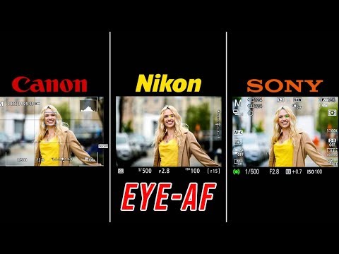 OFFICIAL Nikon Z6 EYE AF Real World Review (VS Sony & Canon) | NOT What I Expected!