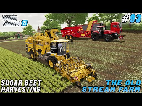 Farming Life: Livestock Work and Sugar Beet Harvesting | The Old Stream Farm | FS 22 | Timelapse #93