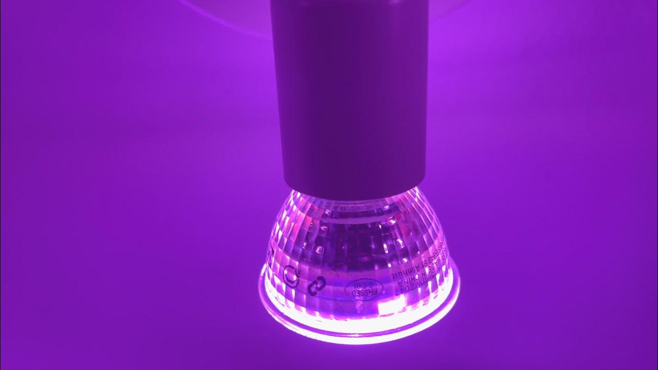 New Ikea Trådfri GU10 colour bulbs making high pitch noise YouTube