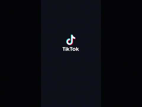 tiktoks lindo gatito
