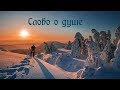 Архимандрит Амвросий (Юрасов) - Слово о душе