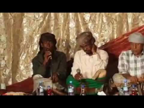 دان حضرمي جديد أكثر من رائع