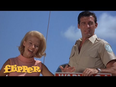 Flipper Saves The Boys From Sharks! | Flipper