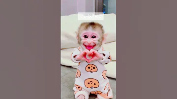 سكر يامسكر ياابو قلب كبير اكسبلور كوميديات كرتوناطفال ضحك كيدز ترند Cute يوميات 