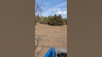 Clearing For A New Food Plot
