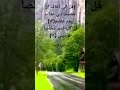سورة الزمر اية ١٤ 